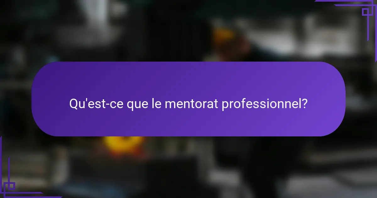 Qu'est-ce que le mentorat professionnel?
